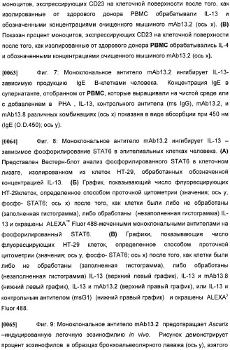 Антитела против интерлейкина-13 человека и их применение (патент 2427589)