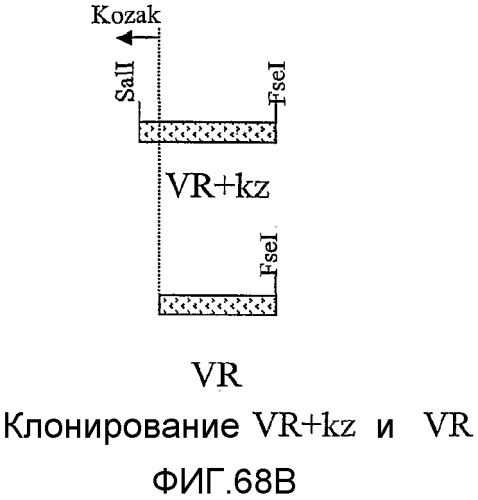 Желудочно-кишечный пролиферативный фактор и его применения (патент 2343158)