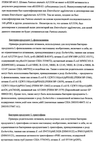 Способ получения l-треонина с использованием бактерии, принадлежащей к роду escherichia, в которой инактивирован кластер генов yrah-r (патент 2337962)