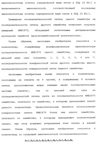 Химерные, гибридные и тандемные полипептиды менингококкового белка nmb1870 (патент 2431671)