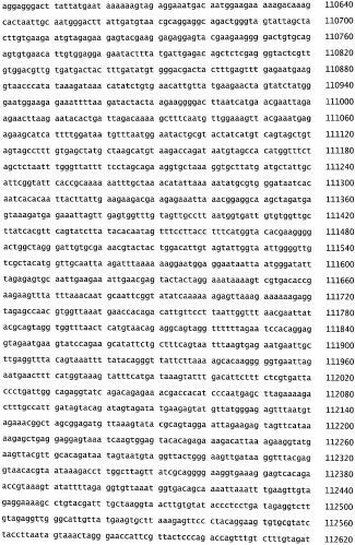 Бактериофаг, обладающий активностью против pseudomonas aeruginosa, белки бактериофага и способы их применения (патент 2580248)