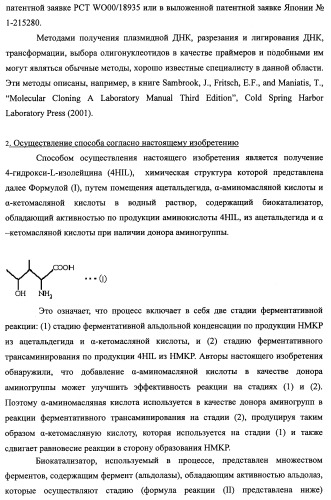 Способ производства 4-гидрокси-l-изолейцина или его соли (патент 2355767)