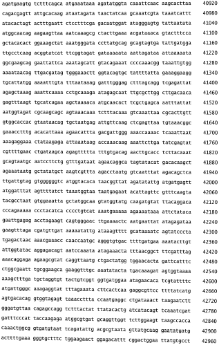 Бактериофаг, обладающий активностью против pseudomonas aeruginosa, белки бактериофага и способы их применения (патент 2580248)