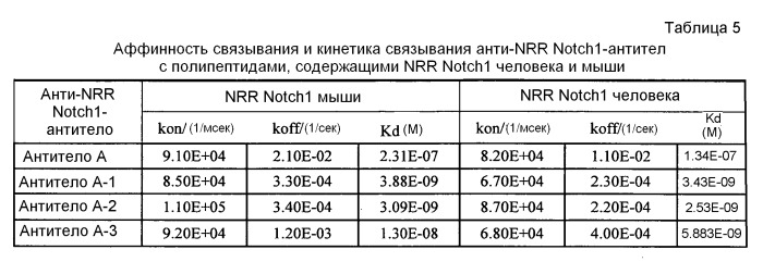 Антитела против nrr notch1 и способы их применения (патент 2476443)