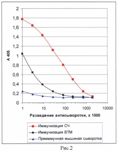 Способ усиления иммунного ответа (патент 2442604)