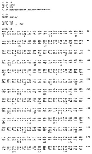 Гены grg23 и grg51, придающие устойчивость к гербицидам (патент 2393225)