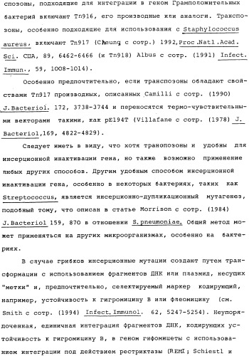 Vgc2 днк salmonella typhimurium, мутантная бактерия, обладающая пониженной способностью к адаптации к условиям окружающей среды, и способ ее получения (патент 2370541)