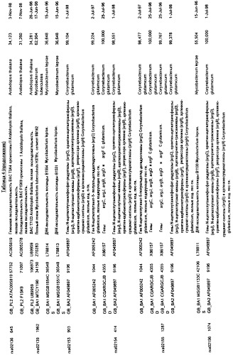 Гены corynebacterium glutamicum, кодирующие белки метаболических путей (патент 2306339)