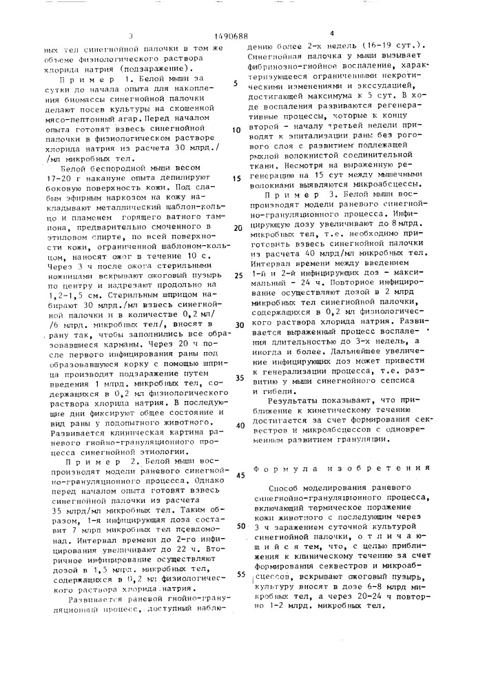 Способ моделирования раневого синегнойно-грануляционного процесса (патент 1490688)