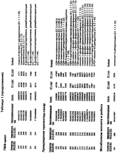 Гены corynebacterium glutamicum, кодирующие белки, участвующие в метаболизме углерода и продуцировании энергии (патент 2310686)