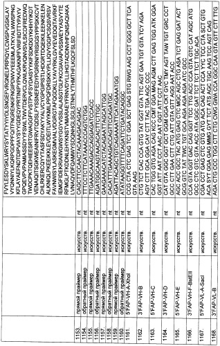 Pscaxcd3, cd19xcd3, c-metxcd3, эндосиалинxcd3, epcamxcd3, igf-1rxcd3 или fap-альфаxcd3 биспецифическое одноцепочечное антитело с межвидовой специфичностью (патент 2547600)