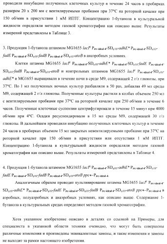 Бактерия - продуцент 1-бутанола и способ получения 1-бутанола (патент 2431672)