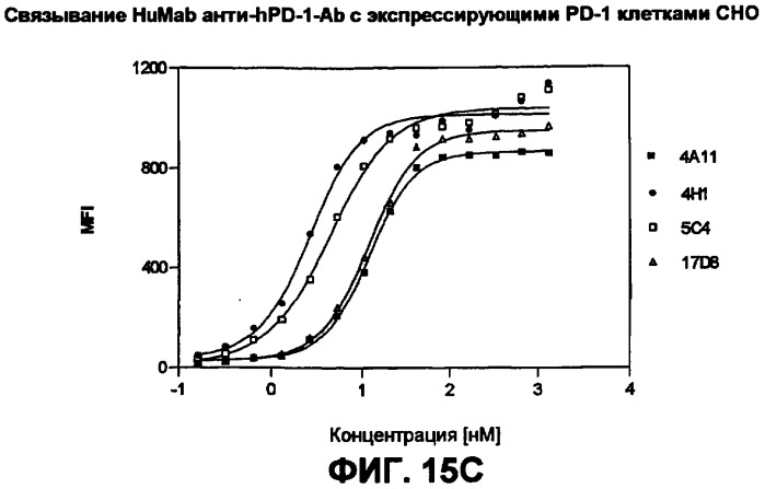 Моноклональные антитела человека к белку программируемой смерти 1 (pd-1) и способы лечения рака с использованием анти-pd-1-антител самостоятельно или в комбинации с другими иммунотерапевтическими средствами (патент 2406760)