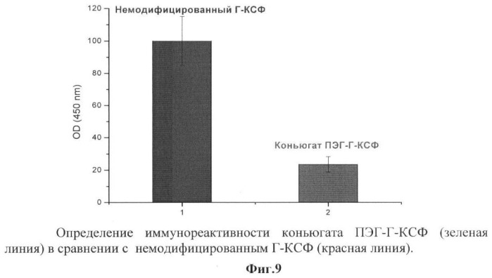 Новый функционально активный, высокоочищенный стабильный конъюгат гранулоцитарного колониестимулирующего фактора (г-ксф) с полиэтиленгликолем с пролонгированным биологическим действием, пригодный для медицинского применения, и иммунобиологическое средство на его основе (патент 2446173)