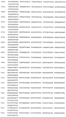 Связывающие молекулы, обладающие терапевтической активностью (патент 2386639)