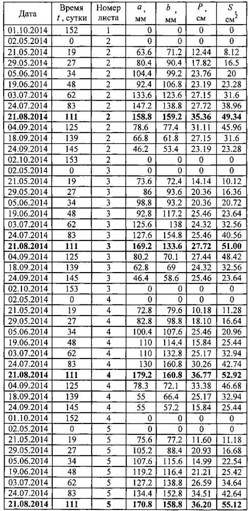 Способ факторного анализа онтогенеза учетных листьев дерева (патент 2606189)