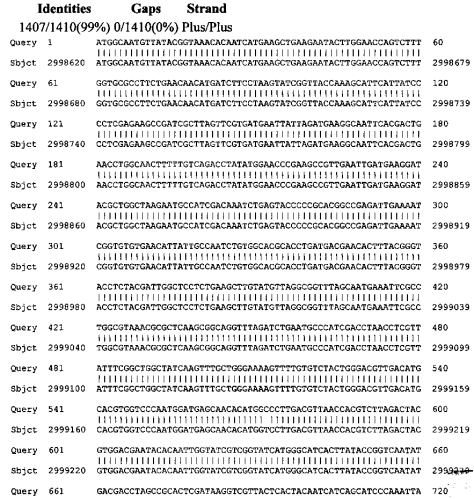 Штаммы lactobacillus plantarum и lactobacillus brevis, синтезирующие гамма-аминомасляную кислоту (патент 2575625)