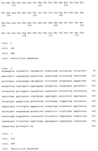 Новая эндо-(1-4)- -d-ксиланаза из penicillium canescens (варианты), фрагмент днк, кодирующий секретируемую эндо-(1-4)- -d-ксиланазу из penicillium canescens (варианты), и способ ее получения (патент 2412246)