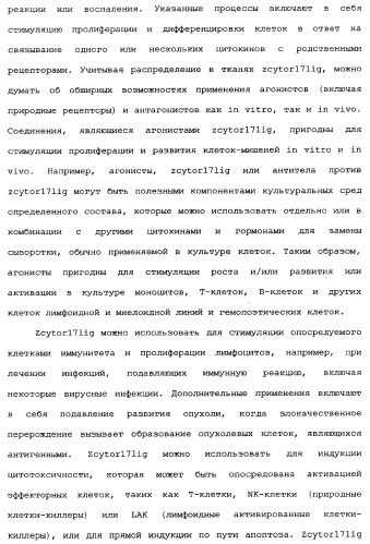 Новый лиганд рецептора цитокина zcytor17 (патент 2360923)