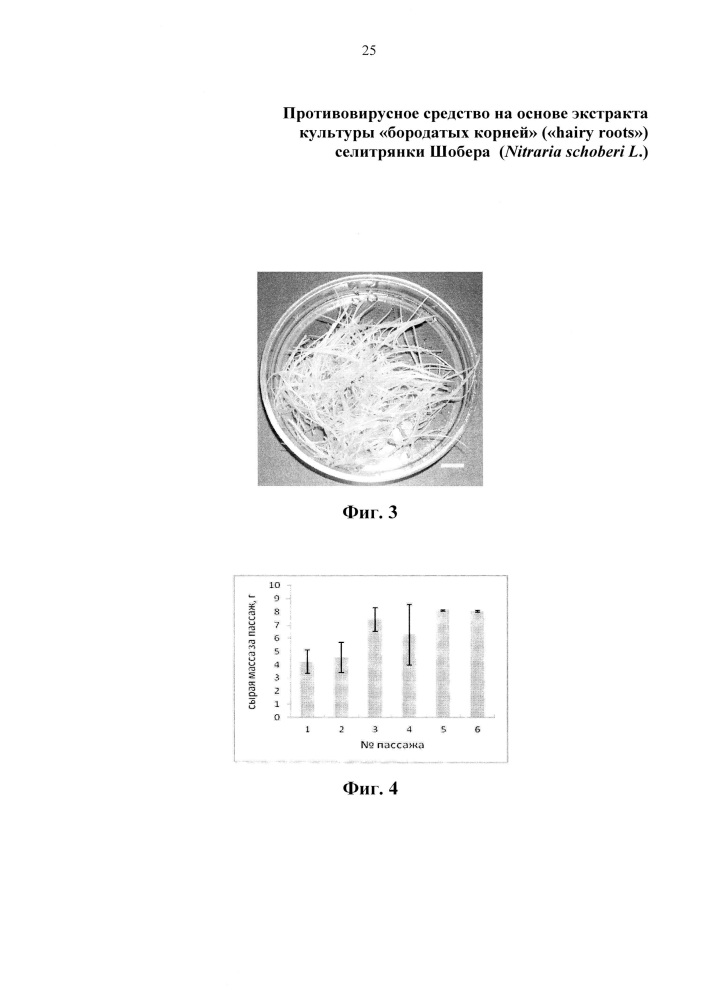 Противовирусное средство на основе экстракта культуры "бородатых корней" ("hairy roots") селитрянки шобера (nitraria schoberi l.) (патент 2615376)