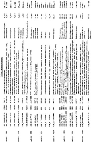 Гены corynebacterium glutamicum, кодирующие белки метаболических путей (патент 2306339)