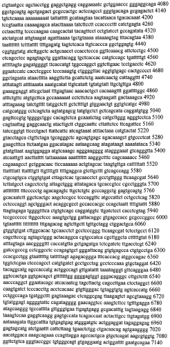 Модуляция экспрессии гентингтина (патент 2562861)