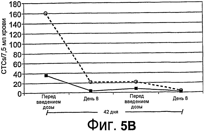 Анализ циркулирующих опухолевых клеток (патент 2429486)