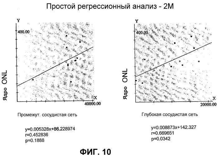 Гематопоэтические стволовые клетки и способы лечения неоваскулярных заболеваний глаз с их помощью (патент 2389497)