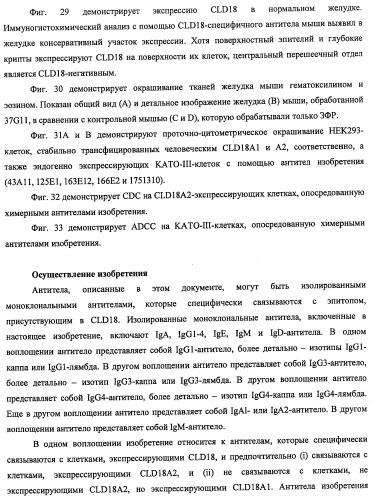Моноклональные антитела к клаудину-18 для лечения рака (патент 2445319)