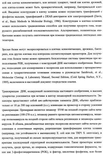 Агонисты рецептора (vpac2) гипофизарного пептида, активирующего аденилатциклазу (расар), и фармакологические способы их применения (патент 2360922)