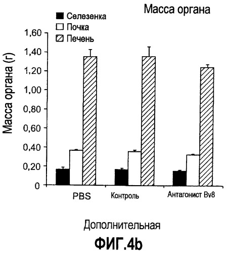 Ингибирование ангиогенеза (патент 2471498)