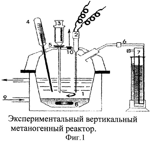 Средство для увеличения выхода биогаза (патент 2351552)