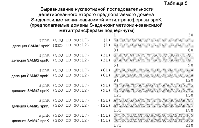 Штаммы spnk (патент 2580015)