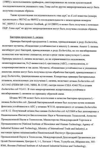 Способ получения l-треонина с использованием бактерии, принадлежащей к роду escherichia, модифицированной таким образом, что в ней нарушена способность к образованию ворсинок типа &quot;керли&quot; (патент 2338782)