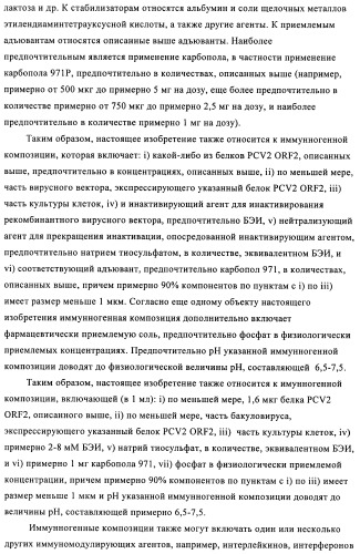 Поливалентные иммуногенные композиции pcv2 и способы получения таких композиций (патент 2488407)