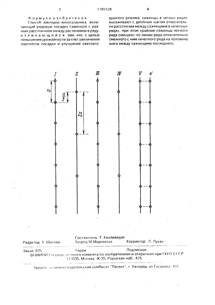 Способ закладки виноградника (патент 1789128)