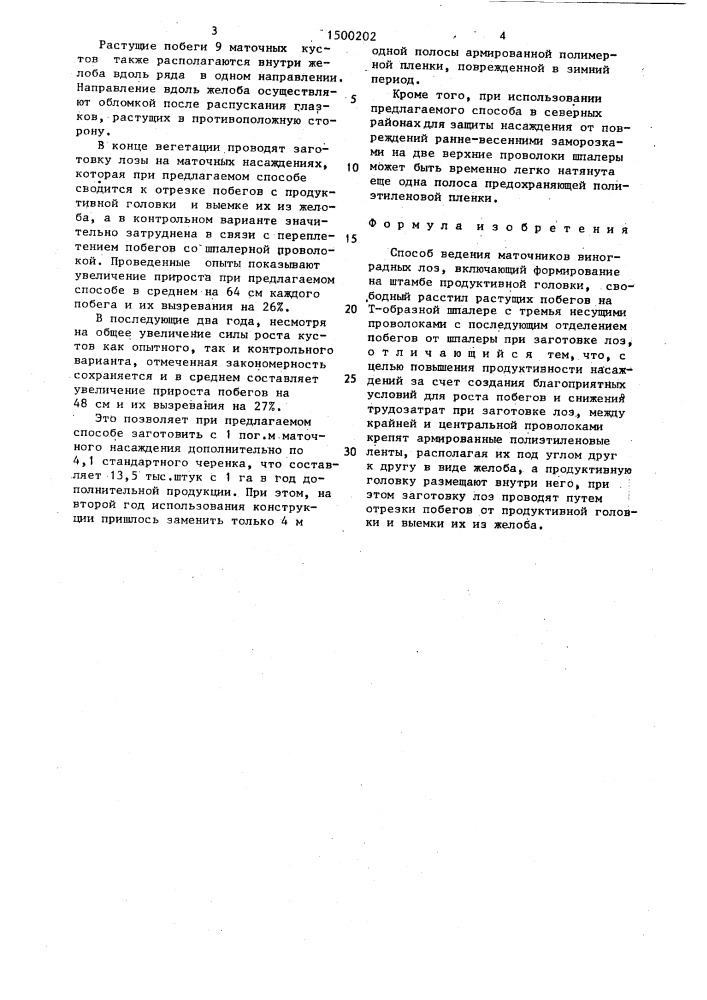 Способ ведения маточников виноградных лоз (патент 1500202)