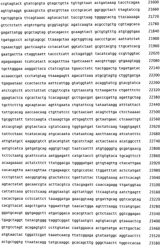 Бактериофаг, обладающий активностью против pseudomonas aeruginosa, белки бактериофага и способы их применения (патент 2580248)