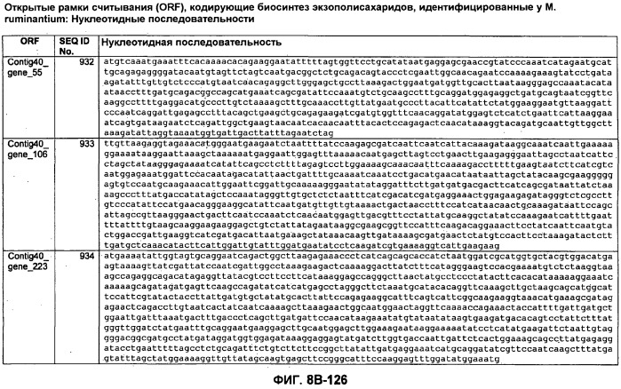 Вакцины и компоненты вакцин для подавления микробных клеток (патент 2528854)