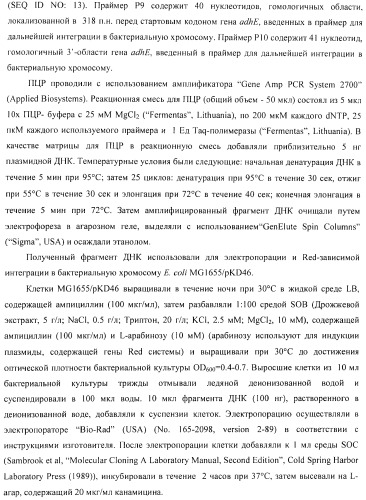 Способ получения l-аминокислоты с использованием бактерии, принадлежащей к роду escherichia (патент 2395579)