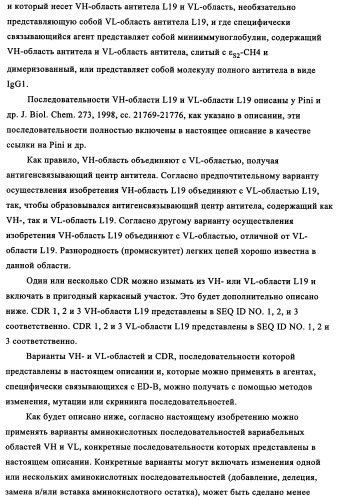 Избирательный направленный перенос в сосудистую сеть опухоли с использованием молекул антител (патент 2347787)