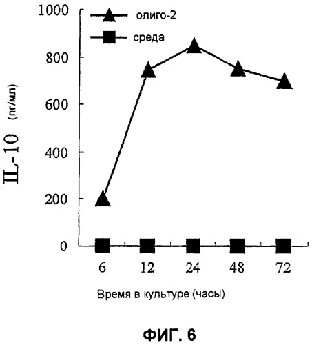 Олигонуклеотид или его функциональный гомолог, содержащая его композиция и способ лечения b-клеточной опухоли (патент 2409672)
