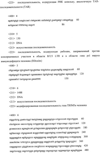 Генетические конструкции для антивич-терапии (патент 2426788)