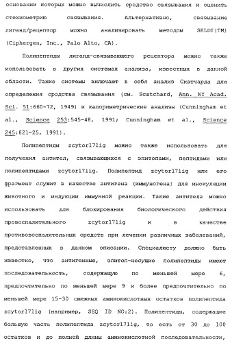 Новый лиганд рецептора цитокина zcytor17 (патент 2360923)
