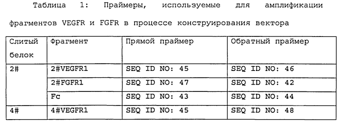 Слитный белок антиангиогенного индуцирующего фактора и его применение (патент 2560589)