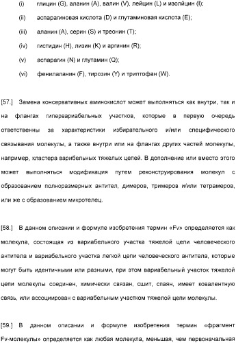 Специфические антитела человека для избирательной терапии рака (патент 2316564)