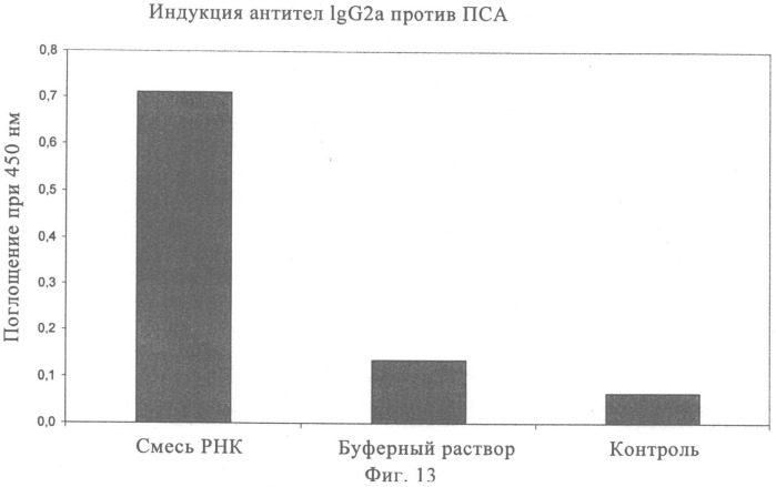 Композиция для лечения рака предстательной железы (рпж) (патент 2508125)