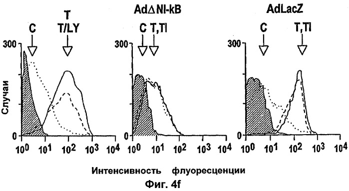 Комбинированная терапия, использующая антиангиогенные средства и tnf-  (патент 2316337)