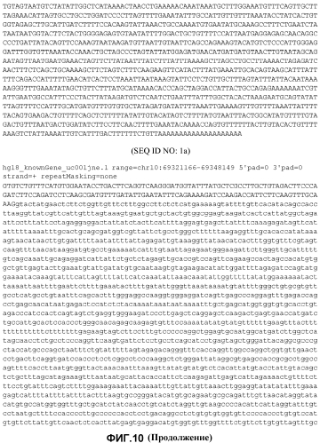 Лечение сиртуин 1 (sirt1)-связанных заболеваний путем ингибирования натурального антисмыслового транскрипта (патент 2551234)