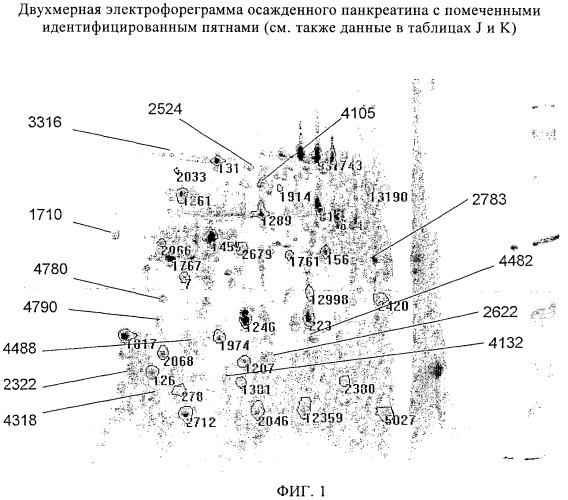 Способ анализа панкреатита и содержащих его композиций (патент 2359270)